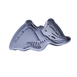 Fósil de Pteranodon Cortador de Galletas