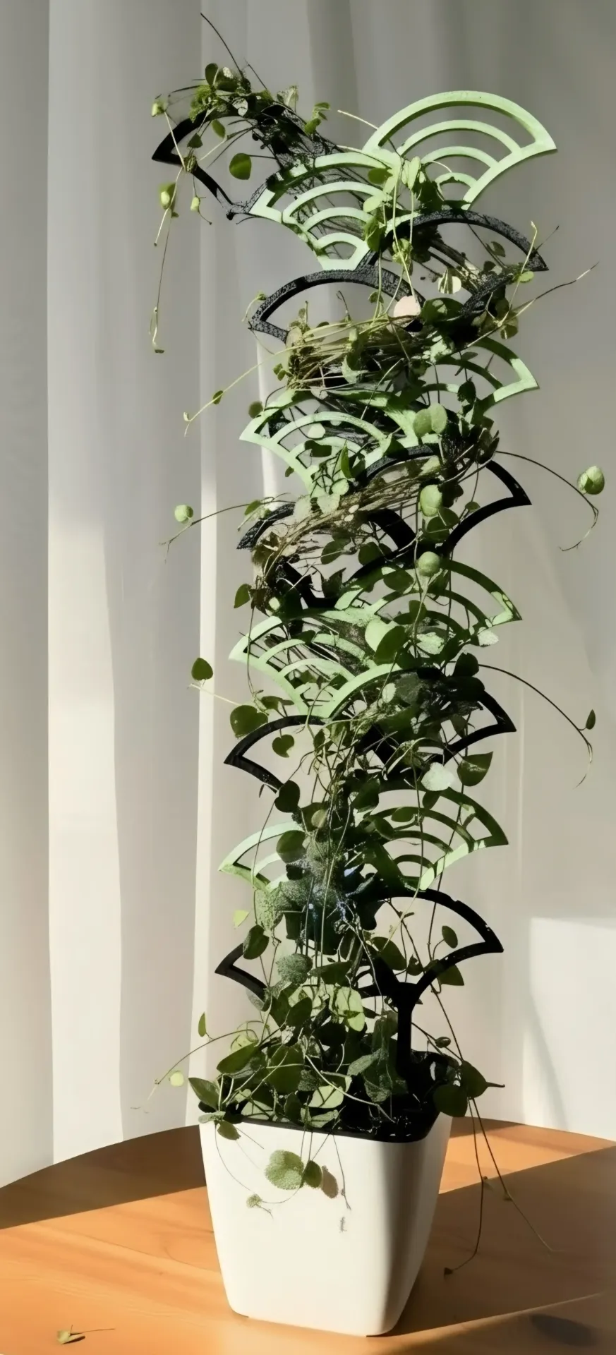 Soporte modular para planta trepadora