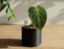 Maceta auto-riego Modern Flow