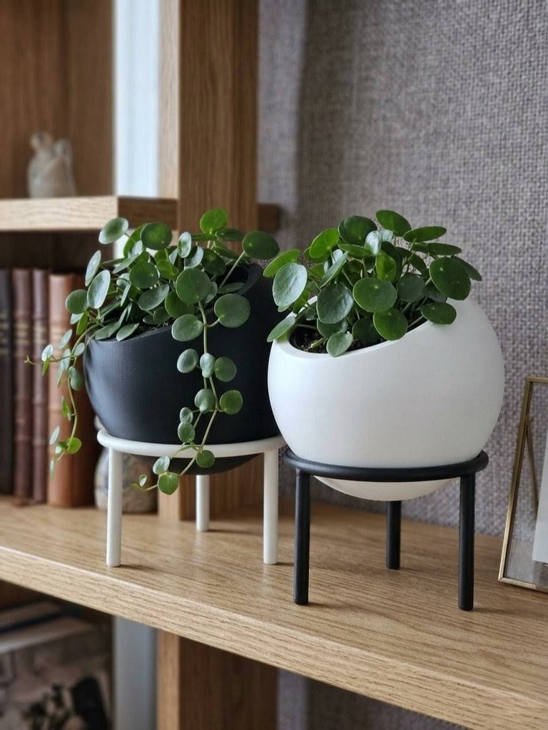 Maceta elevada moderna para suculentas