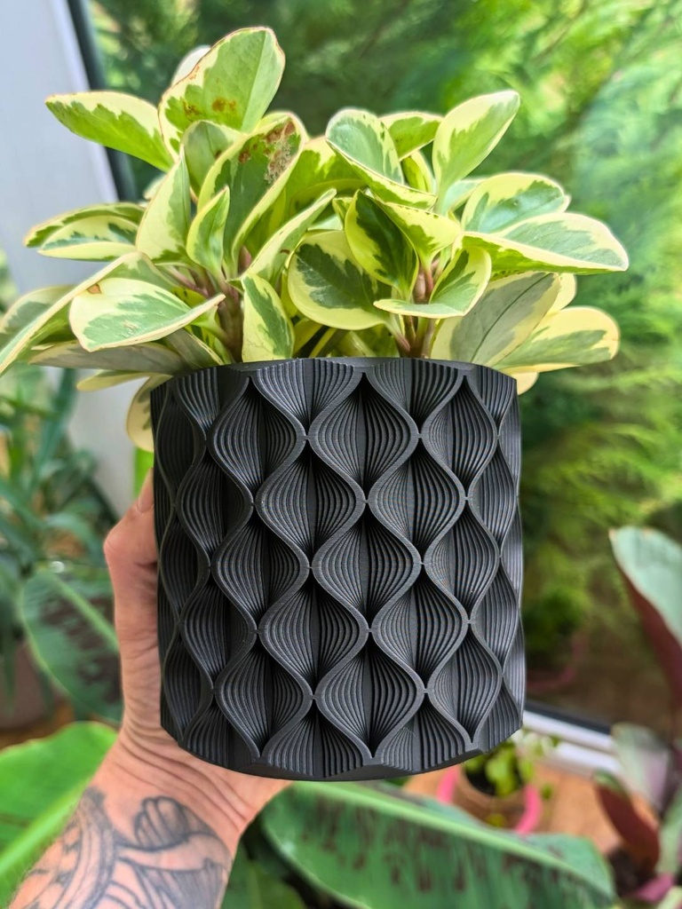 [NV-PEPEROMIA-MACETA-NEGRA] Maceta negra geometrica