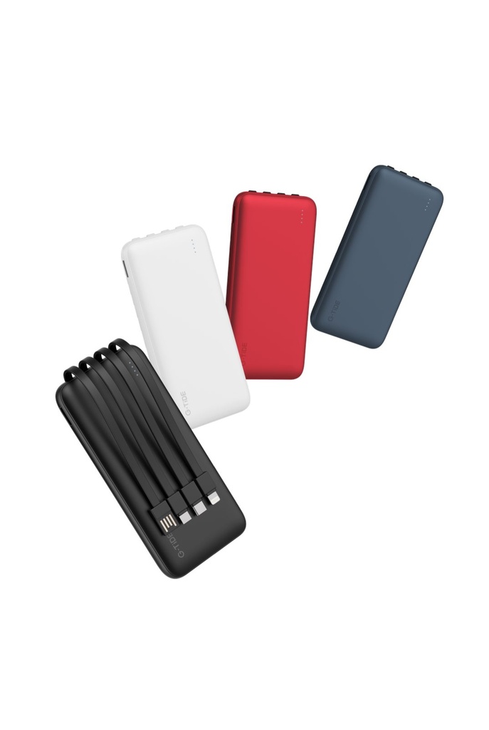 PowerBank P1